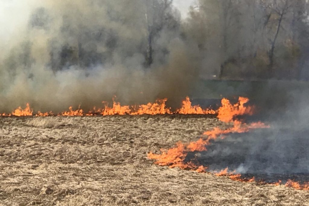 На Харківщині вирують пожежі: згоріли 9 комбайнів, що збирали врожай (відео)