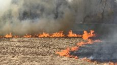 На Харківщині вирують пожежі: згоріли 9 комбайнів, що збирали врожай (відео)