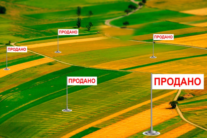 Харьковщина лидирует: с момента открытия рынка земли тут продано чуть больше 107 га