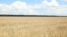 С момента открытия рынка земли на Харьковщине продали 62 земельных участка общей площадью 237 гектаров