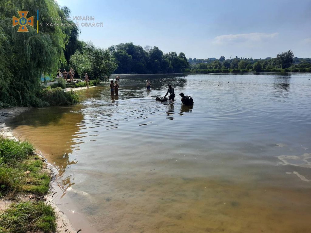 В Петренковском озере утонул 16-летний юноша