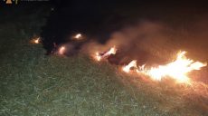 За сутки в Харьковской области сгорело 12 га сухой травы, веток и хвойной подстилки (фото)