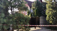 Смерть криворожского мэра: комментарий полиции и президента