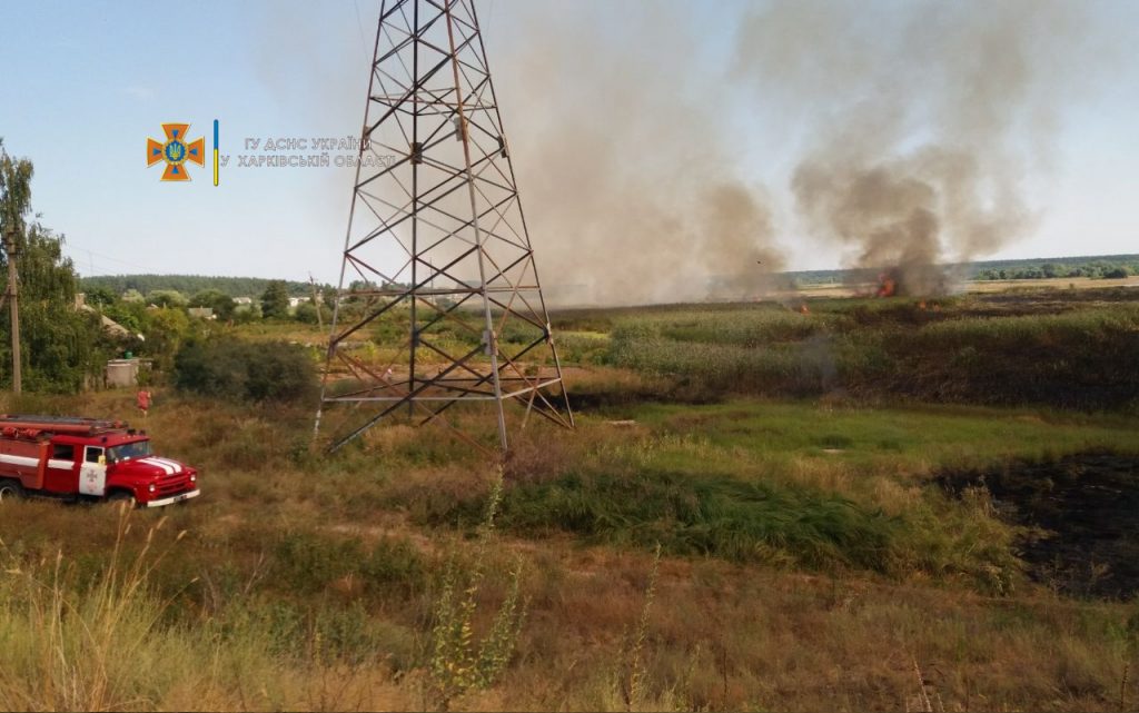 За сутки в Харьковской области выгорело 30 га сухостоя