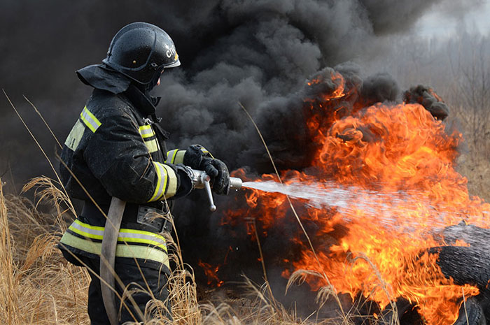В Харьковской области за сутки выгорело 7 гектар полей