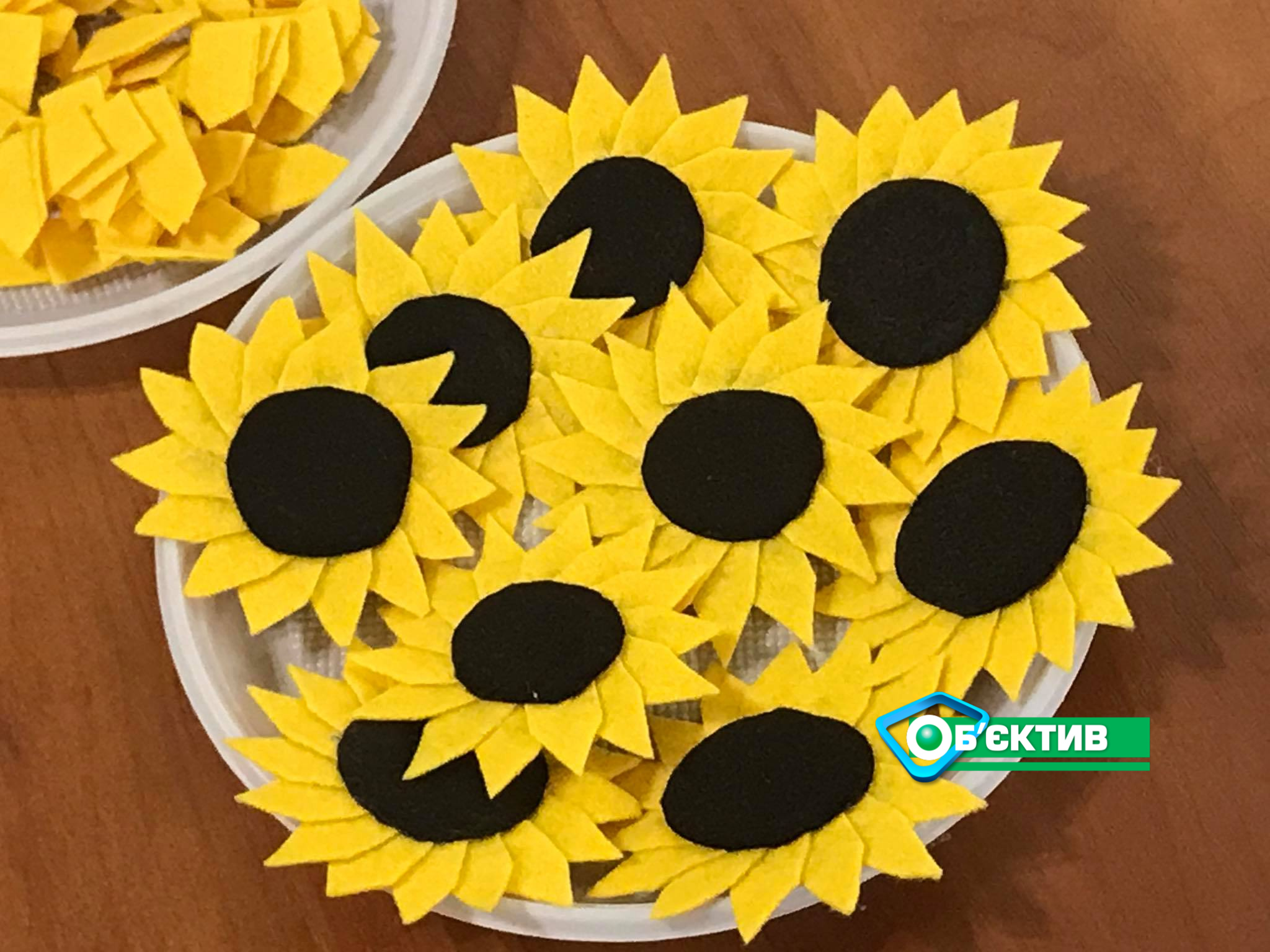 В Харькове проходит Всеукраинская акция «Подсолнух памяти» (фоторепортаж) | посвящено Дню памяти защитников Украины, погибших в борьбе за независимость, суверенитет и территориальную целостность Украины - Vimarsana News