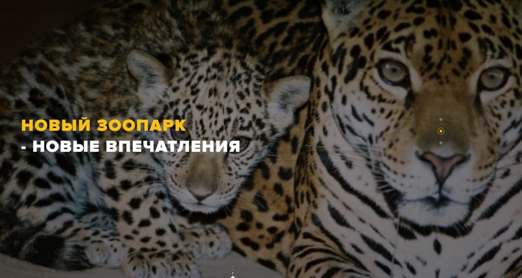 «Зверям тяжело». Доступ посетителей в Харьковский зоопарк ограничен из-за заботы о здоровье животных