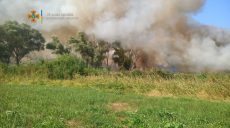 За день в полях и лесах Харьковщины ликвидировали 26 пожаров