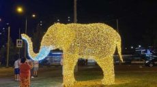Жирафы, львы и бегемот: в Харькове устанавливают ростовые инсталляции животных (фото)