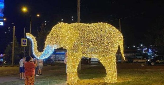 Жирафы, львы и бегемот: в Харькове устанавливают ростовые инсталляции животных (фото)