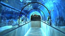 Океанариум в Харьковском зоопарке заработает через 1,5 — 2 года