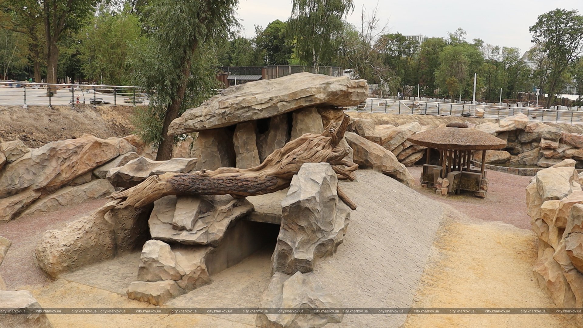 В Харькове гривистые бараны будут жить в новом вольере в зоопарке - фото 4