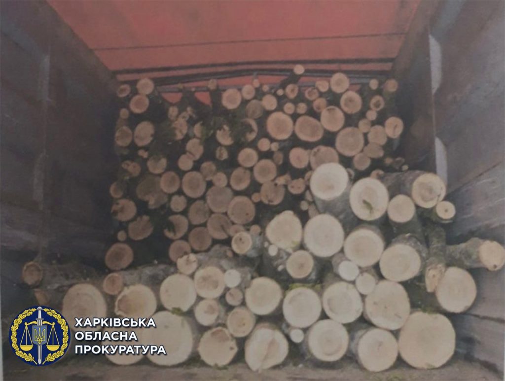 В Харьковской области перевозчик незаконно срубленной древесины может сесть на семь лет (фото)