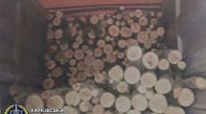 В Харьковской области перевозчик незаконно срубленной древесины может сесть на семь лет (фото)