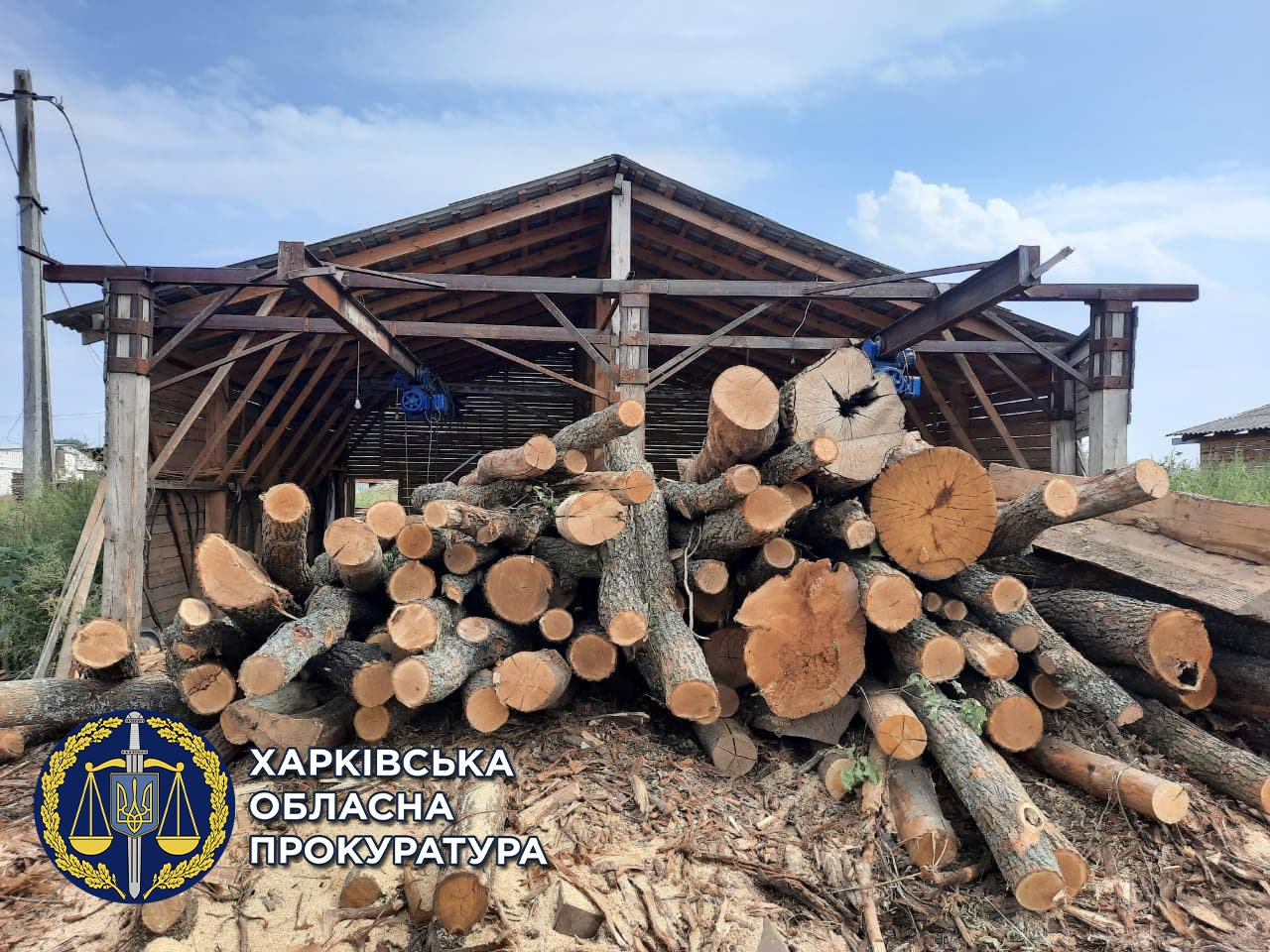 Бывшему директору ГП "Гутянское лесное хозяйство" Виктору Сысе вручили новое подозрение о порубке деревьев - фото 2
