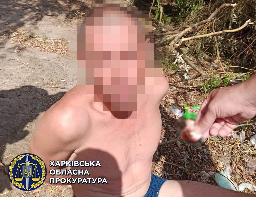 Приставал к 8-летней девочке на пляже: харьковчанин пойдет под суд