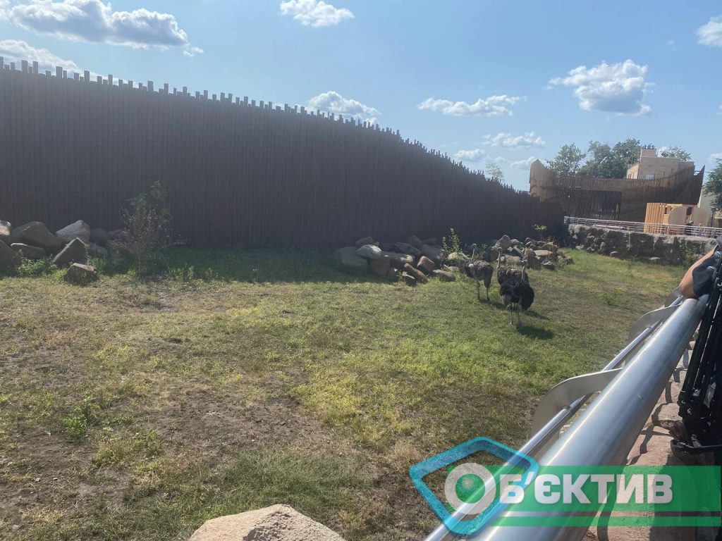 Новый вольер для страусов в зоопарке Харькова