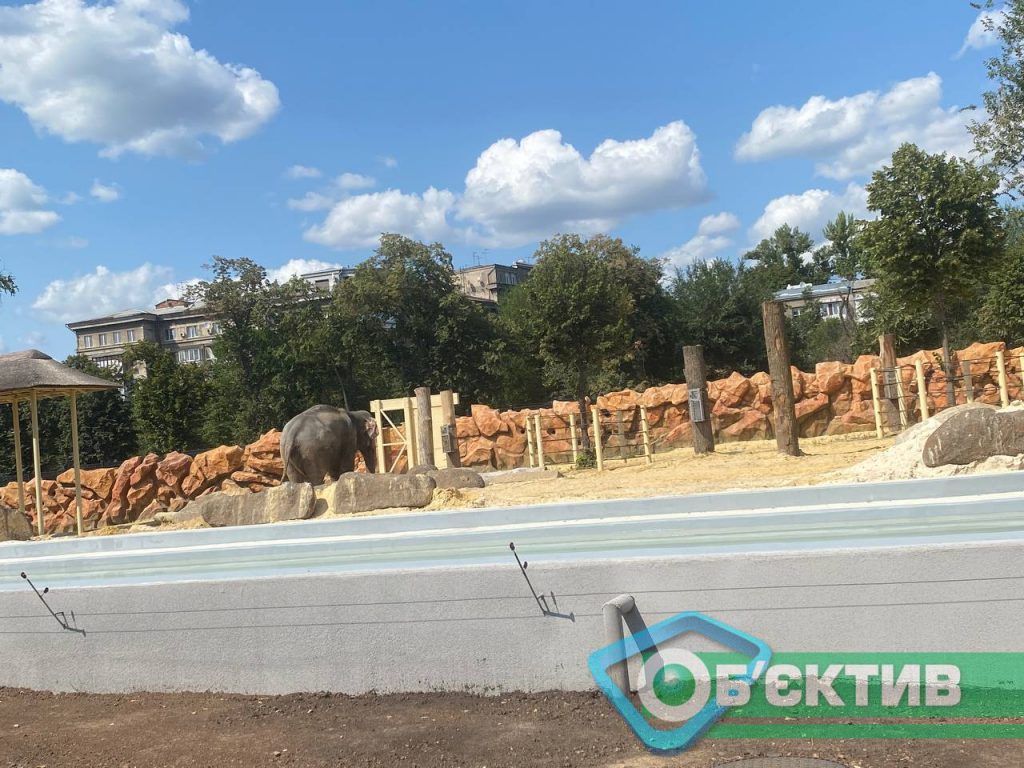 Летняя площадка для слонов в зоопарке Харькова