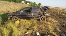 Авто вылетело в кювет: подробности ДТП с пострадавшей (фото)