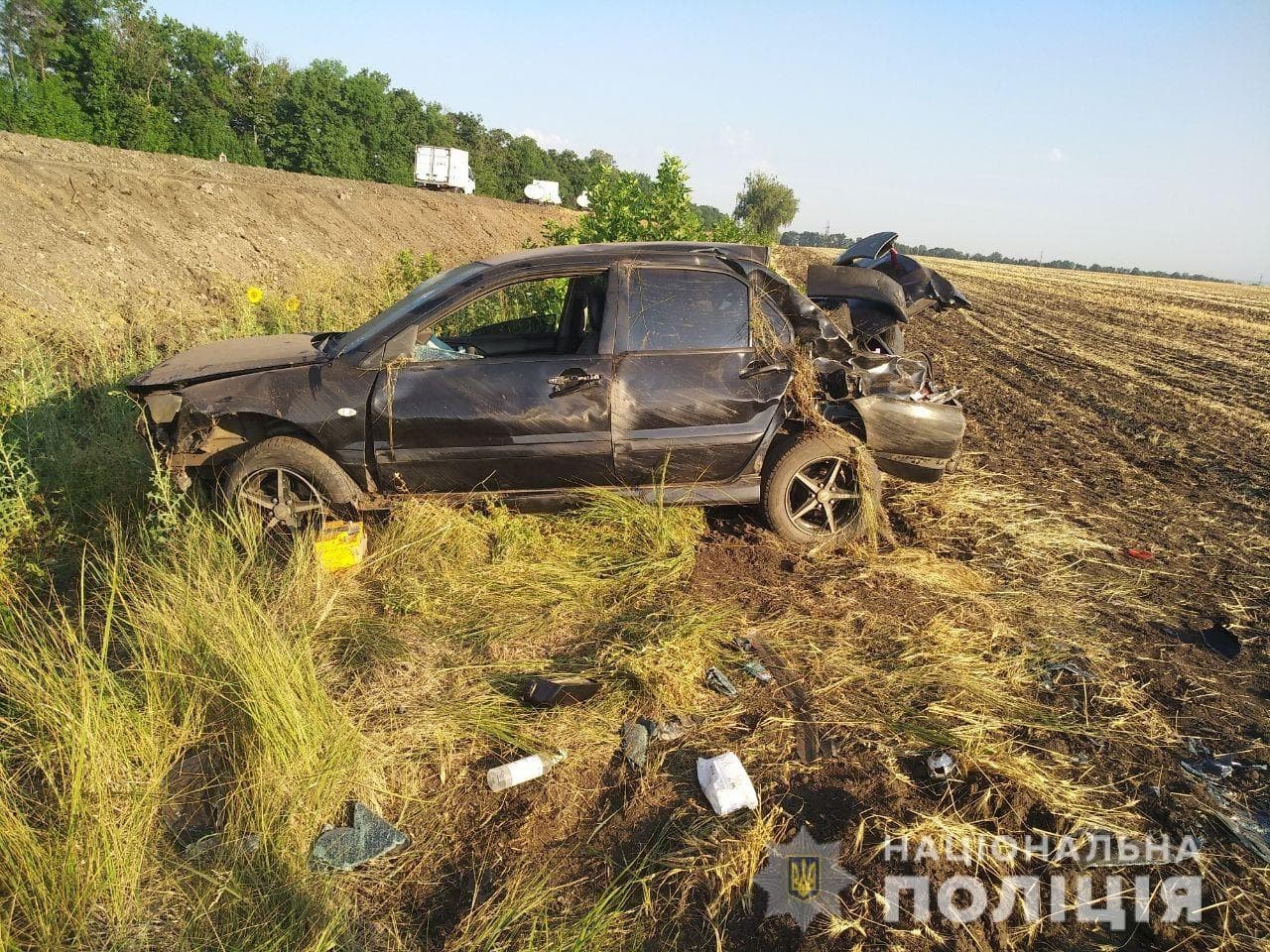 Авто вылетело в кювет: подробности ДТП с пострадавшей (фото)