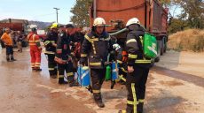 100 украинских спасателей тушат масштабные пожары в Греции (фото)