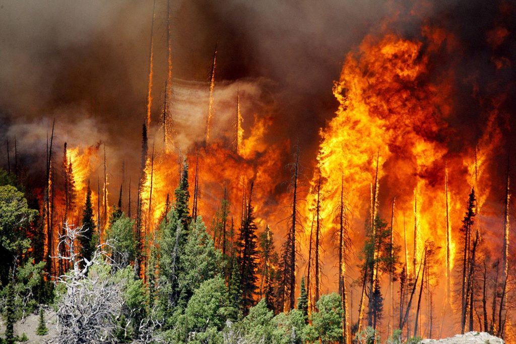 В NASA заявили, что дым от лесных пожаров в Якутии достиг Северного Полюса