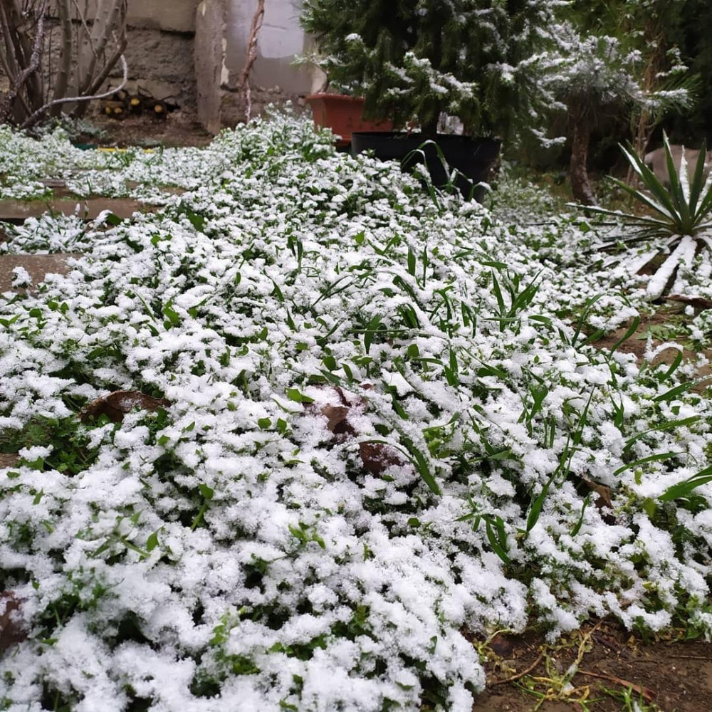 На Одесчине выпал снег (видео)
