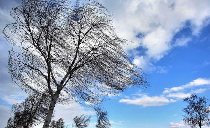 Погода середини березня: харківський синоптик розповів, яким буде 1 січня