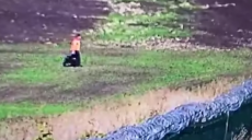 Харьковские пограничники задержали нарушителя (видео, фото)