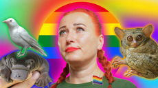 Учительница-рэперша с Харьковщины записала клип против дискриминации ЛГБТ