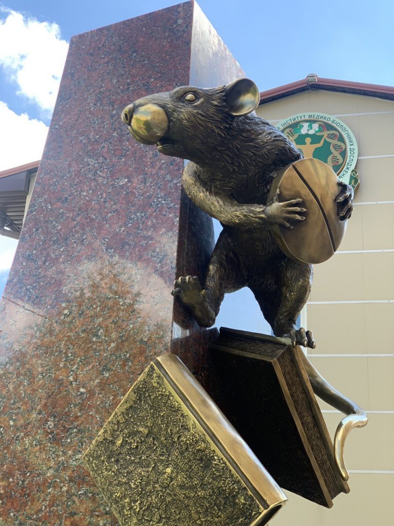 «Феномен наук о здоровье»: в Харькове открыли скульптуру в форме крысы (фоторепортаж)