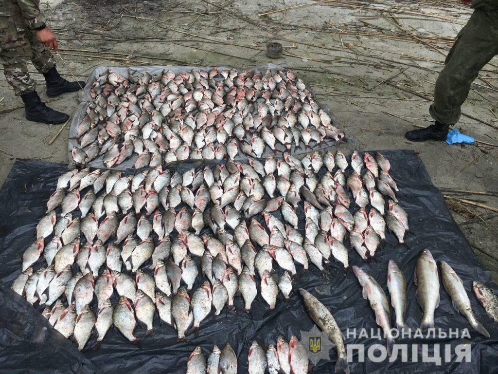 Выловил 77 кг рыбы: на браконьера завели уголовное дело (фото)