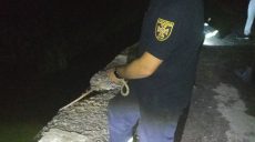Жителя Харьковщины на веревке вытащили из-под моста (фото)