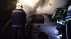 На Харьковщине автомобиль сгорел в гараже (фото)