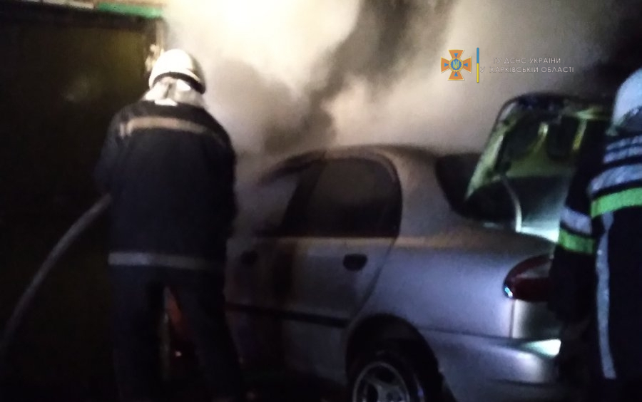 На Харьковщине автомобиль сгорел в гараже (фото)