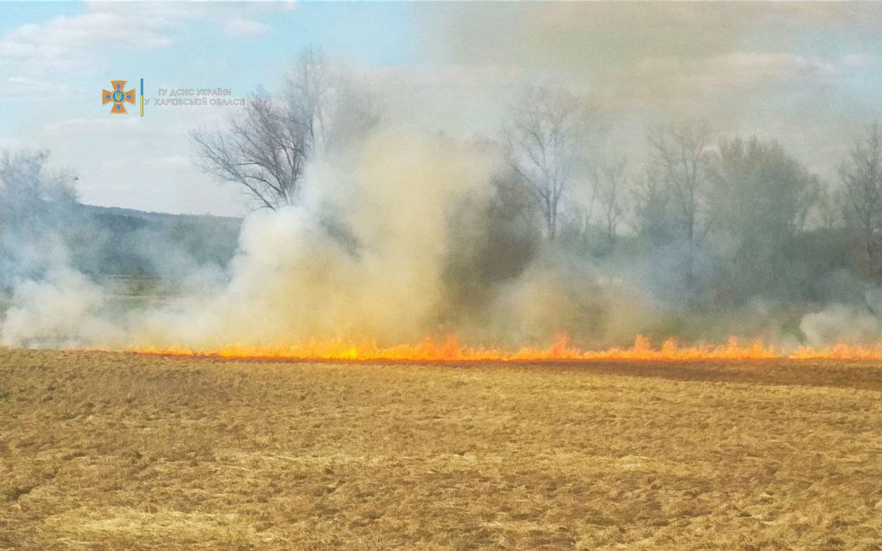 Харьковщина в огне: за сутки произошли 30 пожаров в экосистемах (фото)