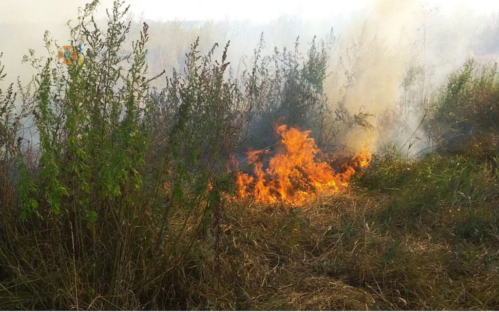 Горит поле в Харьковской области