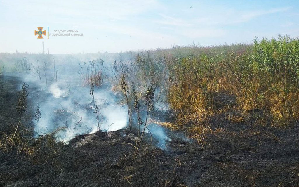 В Харьковской области сгорело поле