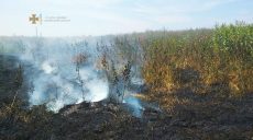 На Харьковщине возникло 33 пожара в экосистемах, есть погибший