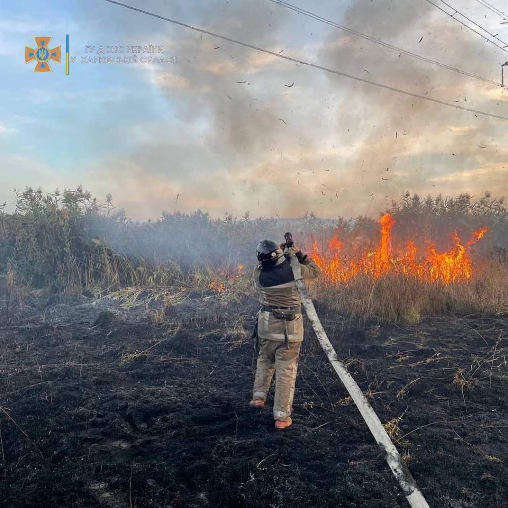 38 пожаров случилось в природных экосистемах Харьковской области за сутки