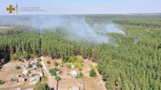 Харьковские спасатели потушили лесной пожар (фото)
