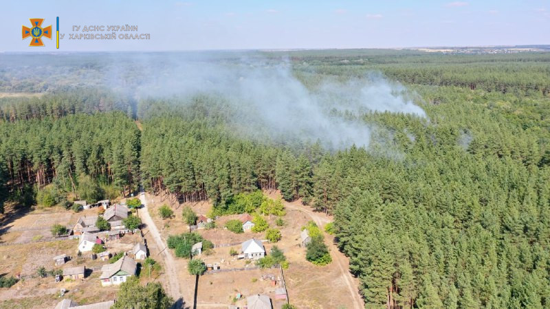 Харьковские спасатели потушили лесной пожар (фото)