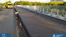Продолжается ремонт моста через Северский Донец возле села Задонецкое: что успели сделать (фото)