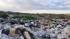 В Харьковской области директор КП по вывозу мусора создал стихийную свалку в черте города