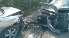 14-летняя девочка выжила в смертельном ДТП на Харьковщине (фото)