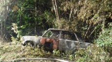 На Харьковщине в сгоревшем авто обнаружили тело человека (фото)