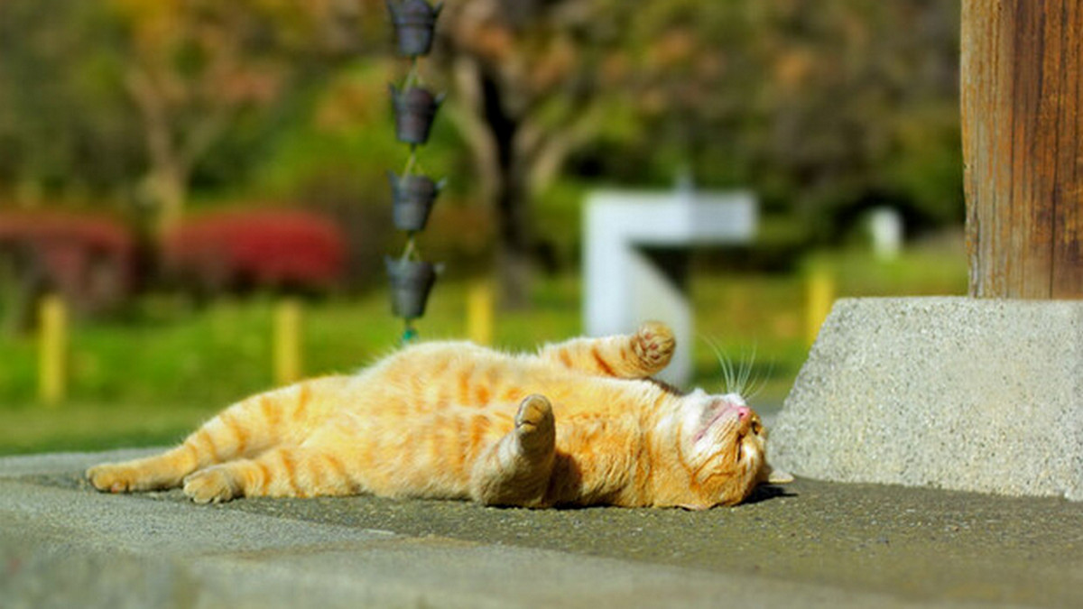 До конца недели в Харькове должно потеплеть — синоптики