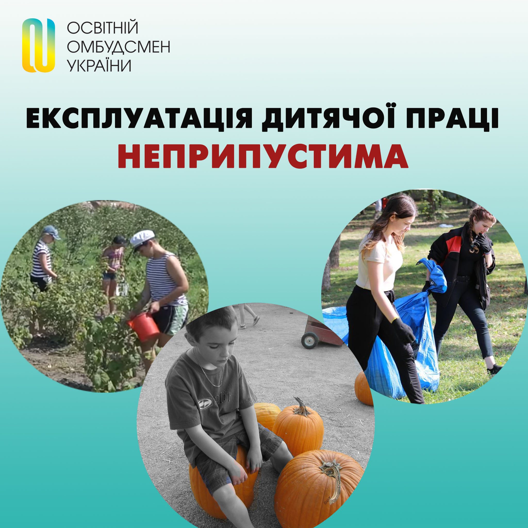 Школьников можно привлекать на работы только как волонтеров, не во время учебы и желательно за плату — омбудсмен