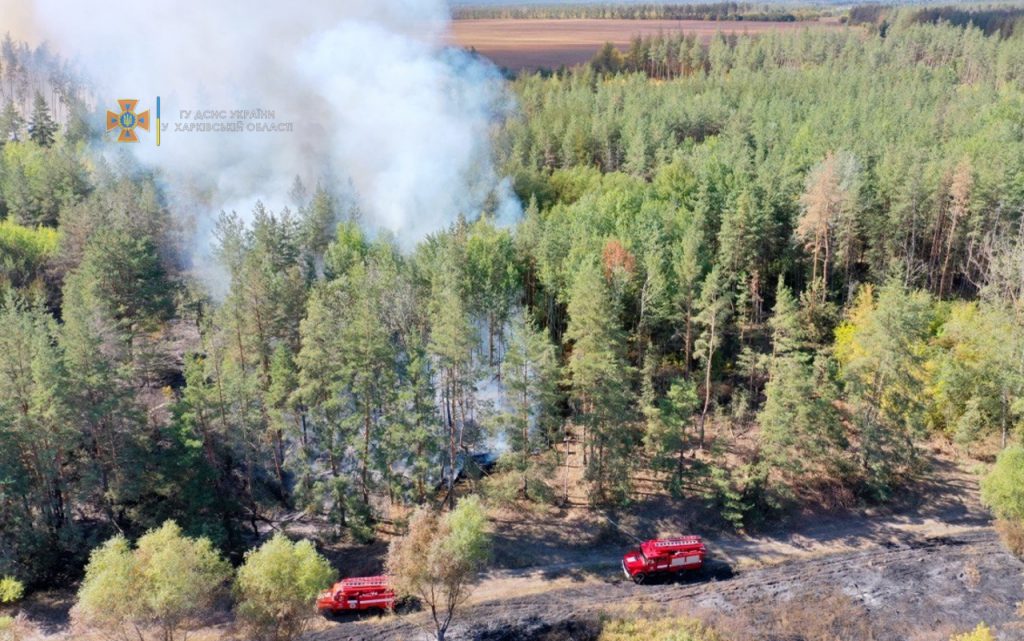 На Харьковщине сутки тушили лесной пожар (фото)