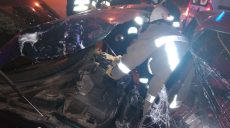 Спасатели деблокировали из легковушки 2 пострадавших в результате ДТП (фото)